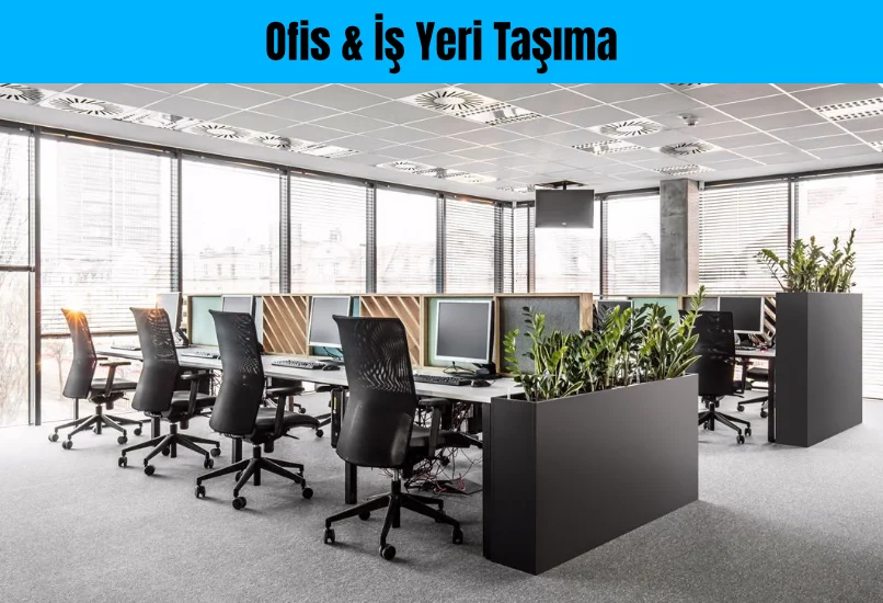 ofis taşıma